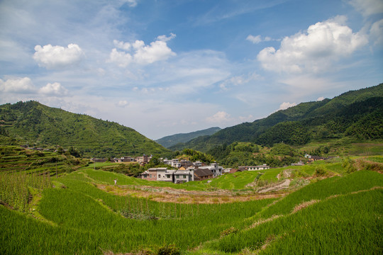 小山村