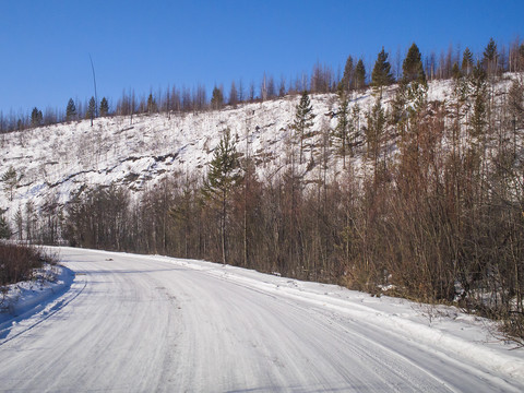 东北雪景公路