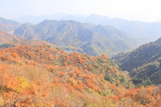 秋天长城的风景长城的秋色山川