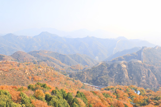 秋天长城的风景长城的秋色红叶