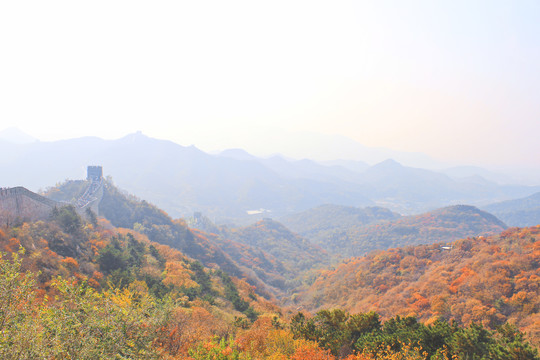 秋天长城的风景长城的秋色红叶