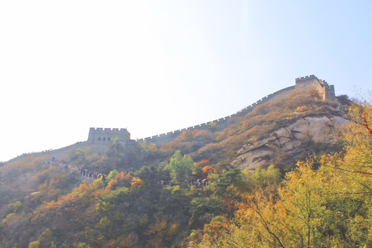 秋天长城的风景长城的秋色红叶