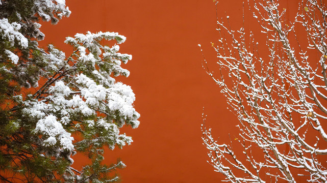 冬天故宫雪景雪后的故宫皇家园林