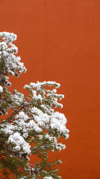 冬天故宫雪景雪后的北京故宫