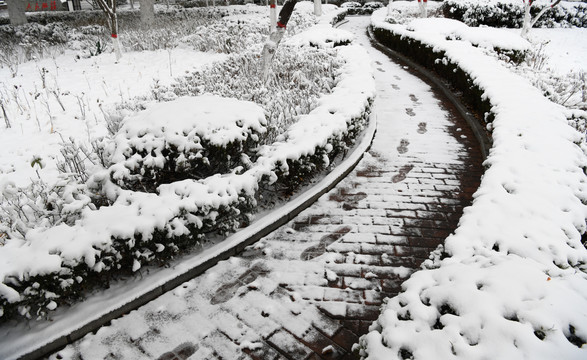 公园内被白雪覆盖的小路