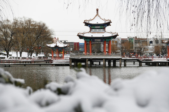 山东枣庄山亭区太清湖公园雪景