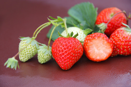 酸甜草莓果