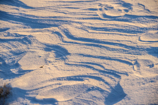 积雪