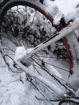 自行车上的雪