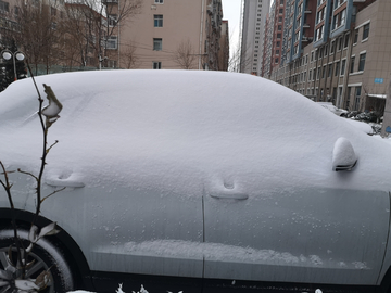 汽车上的雪