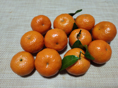 小蜜橘