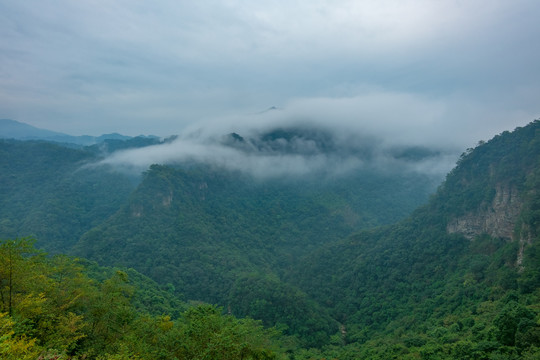 广西南宁武鸣大明山云海森林