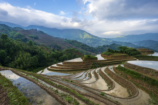 梯田风光