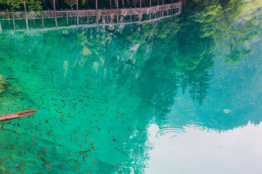 青山绿水九寨沟