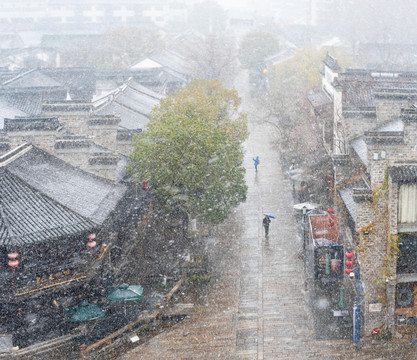 飞雪润门东