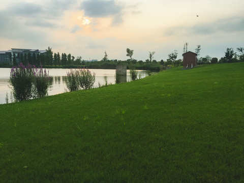 湖边草地