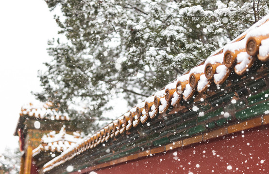 北京景区故宫博物院雪景