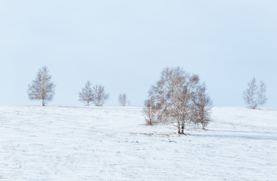 乌兰布统景区雪景