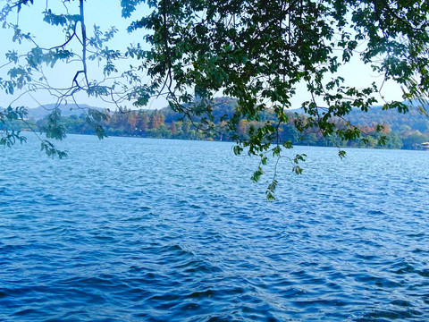 西湖美景
