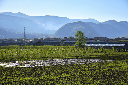 乡村风光