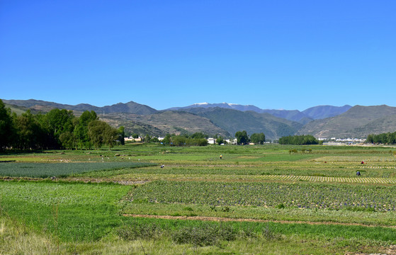 乡村风光