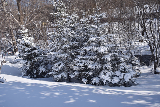 雪景素材