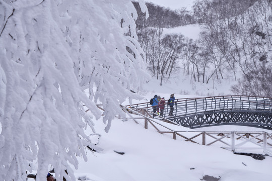 长白山雪景