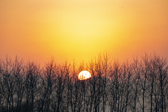 夕阳黄昏