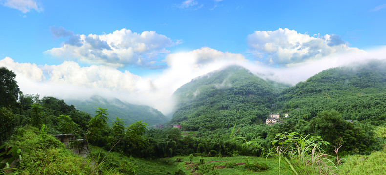 山高林密
