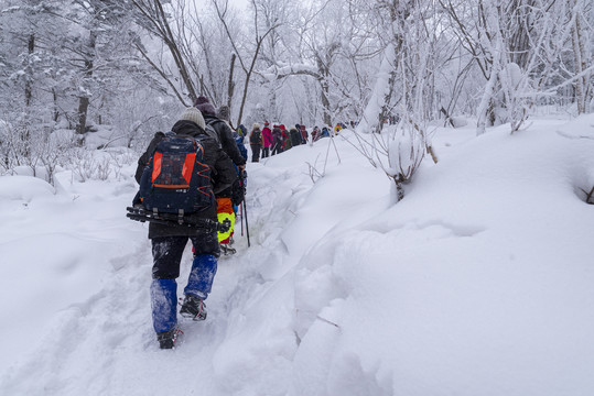 黑龙江林海雪原