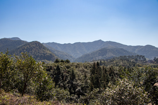 崇山峻岭