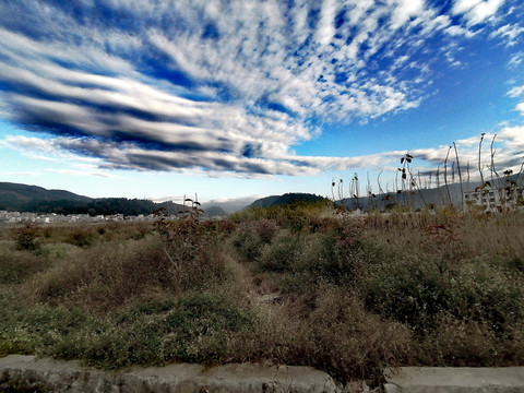 田野天空