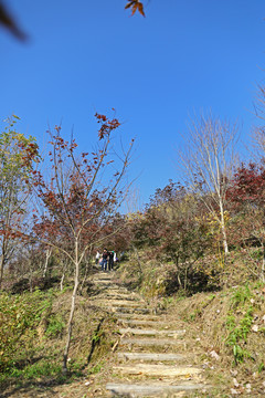 山路山道