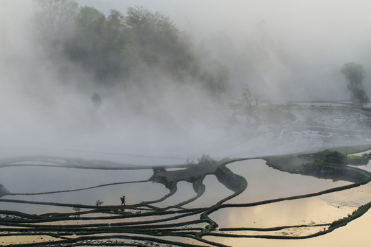 梯田风景