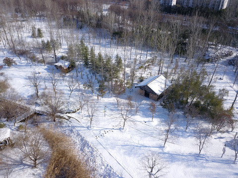 江苏淮安古淮河国家湿地公园雪景