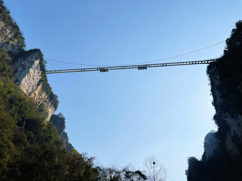仰拍张家界大峡谷