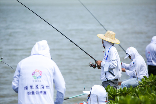 珠海横琴花海长廊钓鱼和沿岸景色