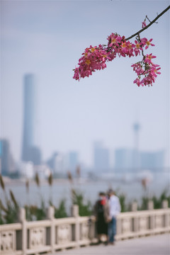 珠海横琴花海长廊钓鱼和沿岸景色