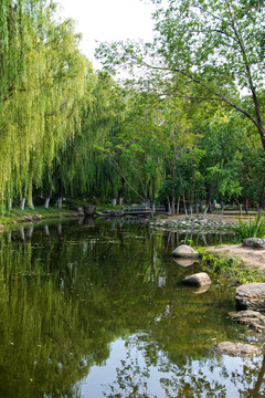天津公园风景