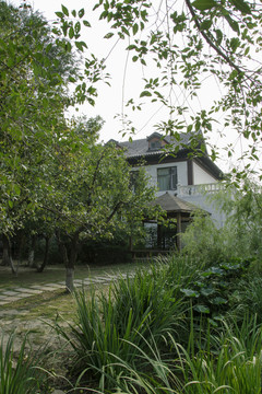 天津公园景观