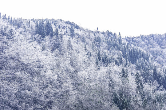 山村雪景