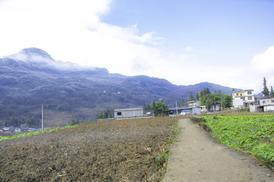 山村风光