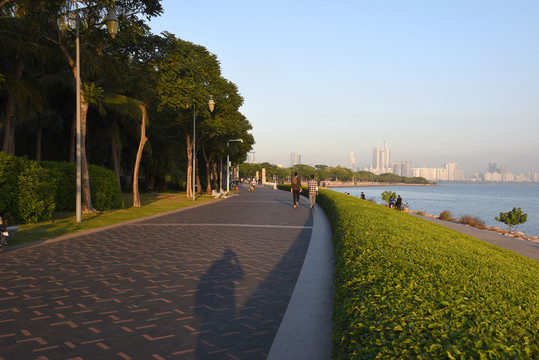 深圳湾生态公园