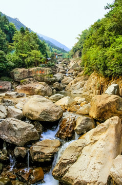 天目山峡谷