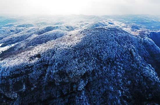 冬季雪景