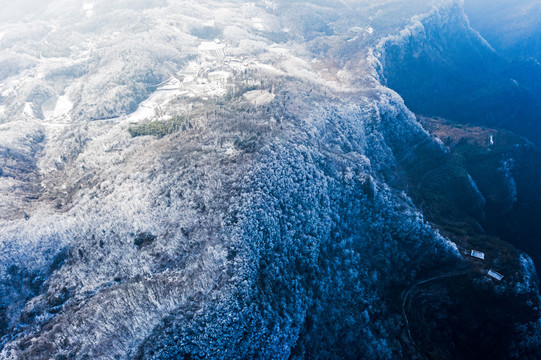 冬季雪景