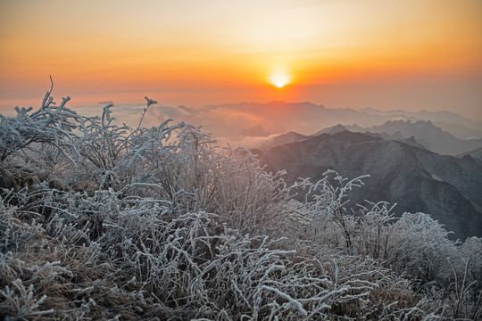 五峰独岭雪景