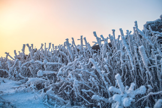 五峰独岭雪景