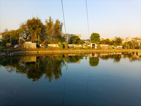 鱼塘风景