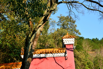 株洲炎帝陵风景